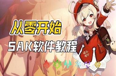 sak转换工具使用方法