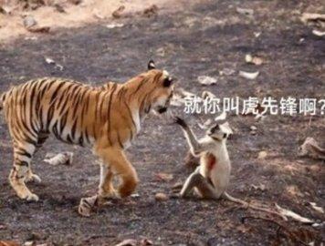 黑神话悟空表情包大全-黑神话表情包图片大全