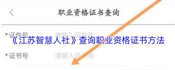 江苏智慧人社如何查询资格证信息