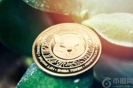柴犬社区遭逢危机：SHIB团队全力应对Shibarium桥攻击事件