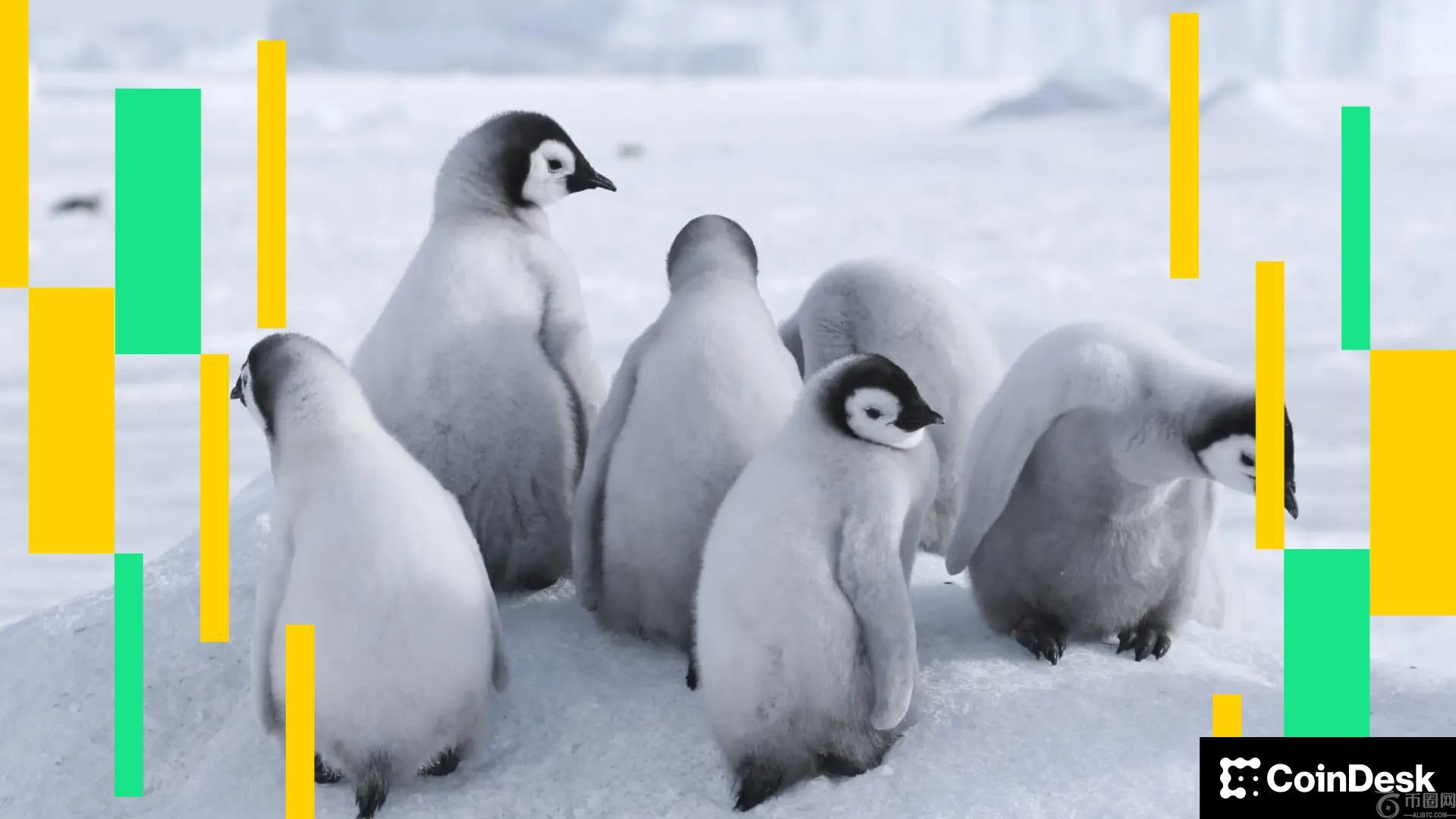 加密货币市场今日行情：比特币回调，PENGU 持仓量激增