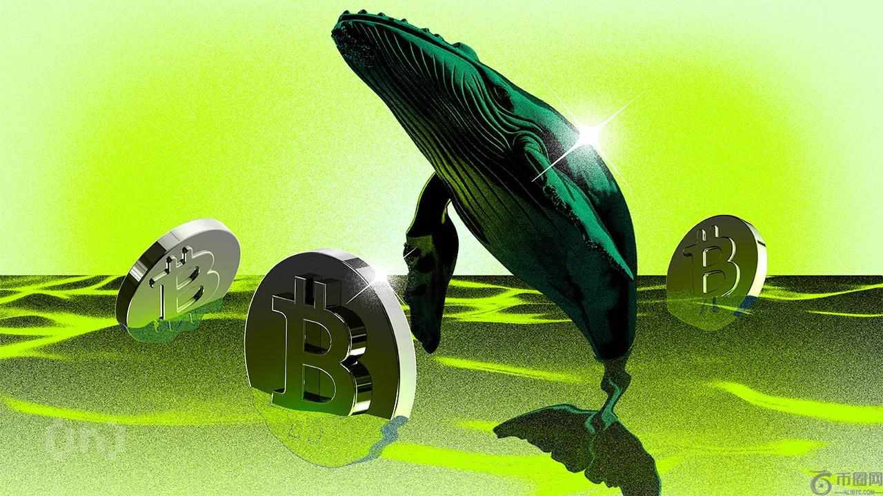 “鲨鱼”在两周内将比特币推高至 11.5 万美元以上吗？