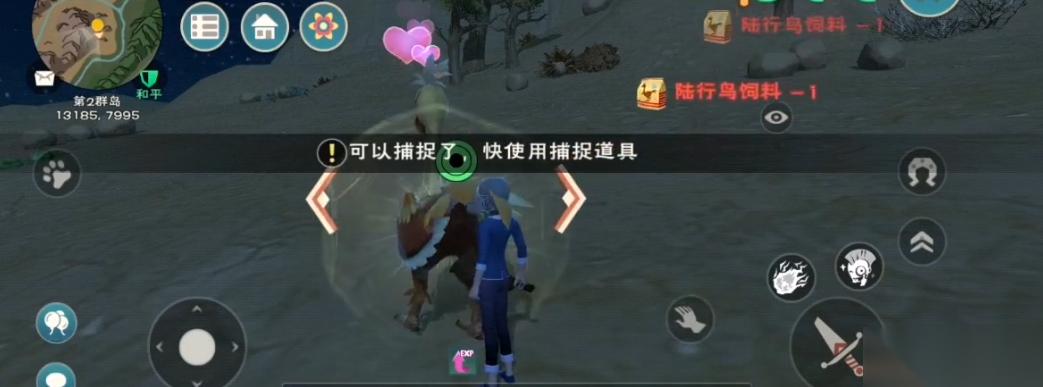 创造与魔法用什么捕捉