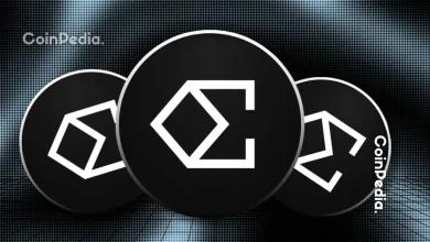 随着 USDe 采用率飙升，YZi Labs 加大对 Ethena Labs 的支持