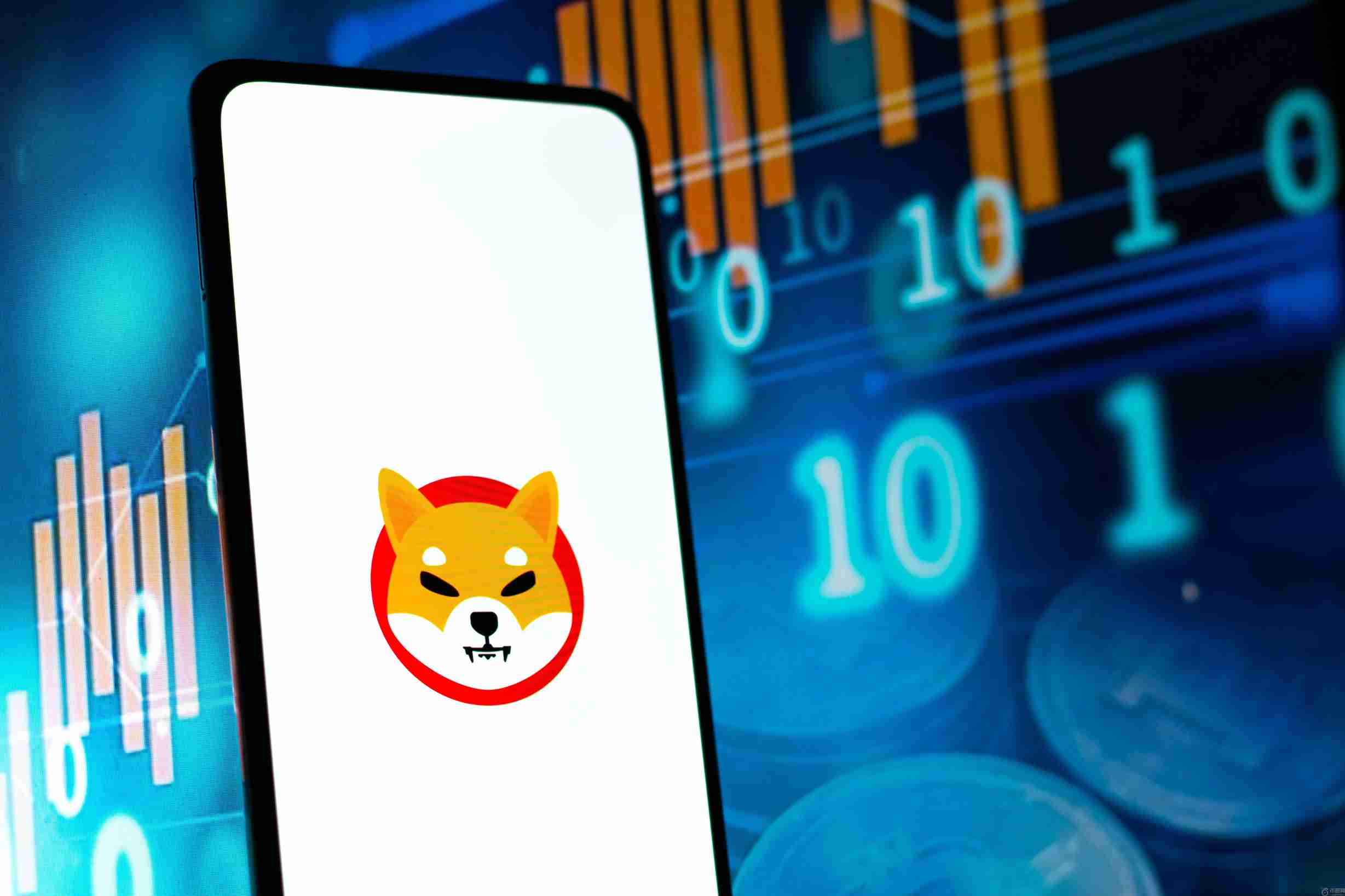 分析师预测柴犬股价将上涨 568%，有望突破历史新高