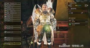 怪物猎人荒野铳枪玄武流怎么配装