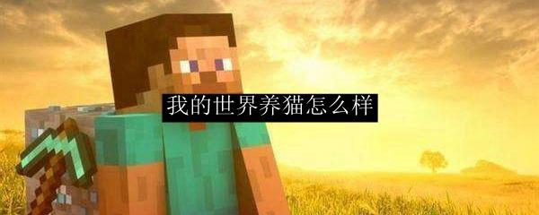 我的世界养猫怎么样