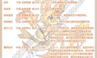 洛克王国金穗航灵技能搭配