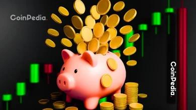 等离子（XPL）价格分析——炒作是否可持续