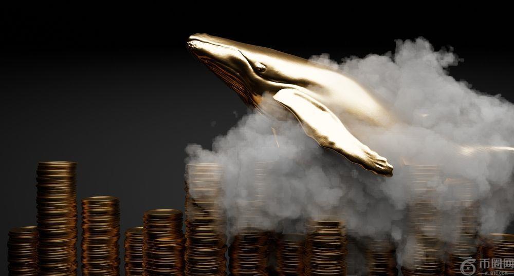 从未见过鲸鱼疯狂购买 XRP——XRP 账本有望迎来 300 亿美元的风险加权资产激增