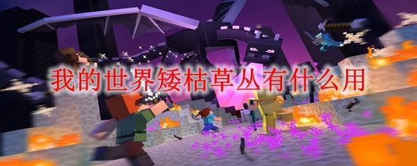 我的世界矮枯草丛有什么用