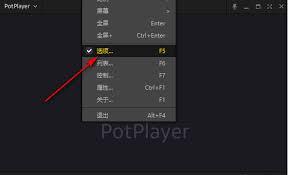 PotPlayer如何显示播放时间与剩余时间