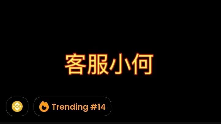 加密货币“客服小何”是什么 它为何能在短时间内飙升