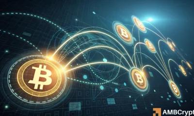 恐慌，然后暂停：比特币流入量暴跌一半——这对 11.7 万美元意味着什么