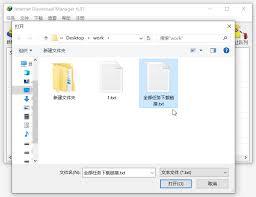 IDM下载器如何导入文件列表