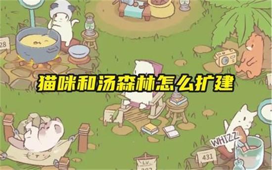 猫咪和汤扩建森林怎么操作 猫咪和汤扩建森林方法详解