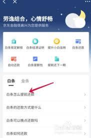 京东白条如何一次还清全部欠款