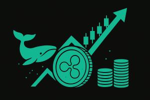 尽管巨鲸抛售，瑞波币 (XRP) 价格仍上涨——推动其上涨的因素是什么