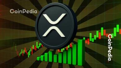 10月27日XRP价格预测