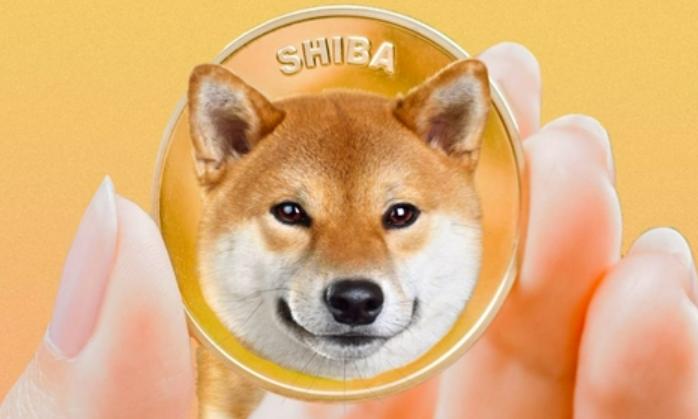 柴犬币怎么购买 通过哪些交易所可以安全买入柴犬币