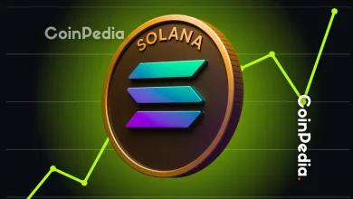 随着市场转为熊市，Solana 价格走弱——165 美元区域能否引发反弹