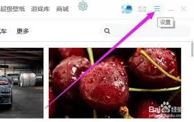 小鸟壁纸如何设置自动换屏保壁纸