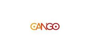 Cango公司发布致股东信