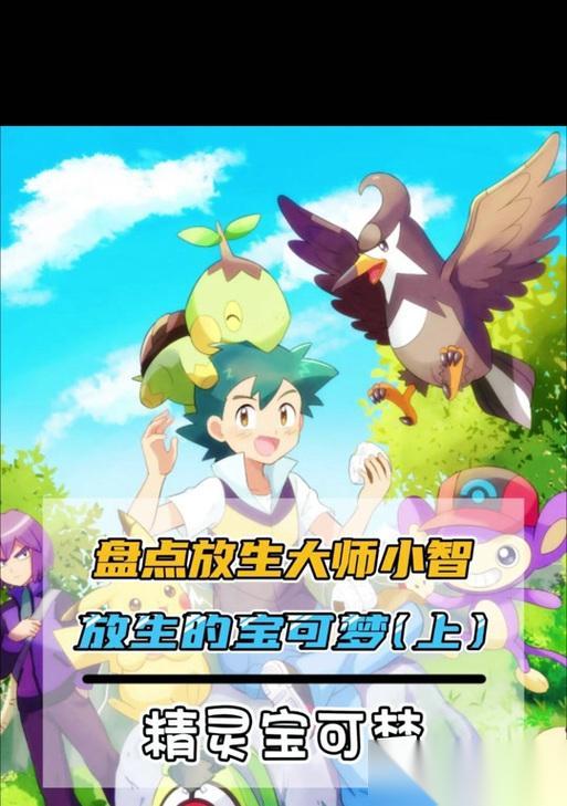 口袋妖怪肉鸽进入方法是什么