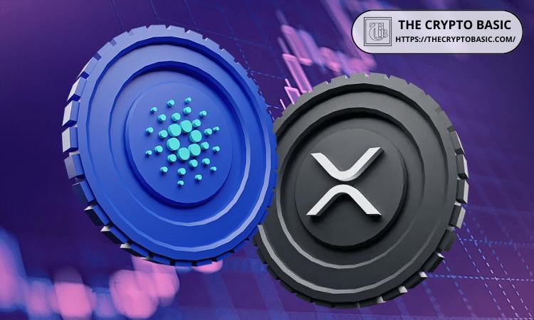 顶级歌手发起新民意调查，将 XRP 与 Cardano 进行比较，引发热议。
