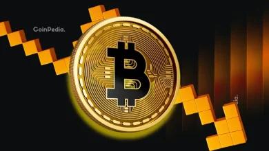 比特币价格暴跌加剧，彼得·布兰特揭示下一轮加密货币牛市的时间表