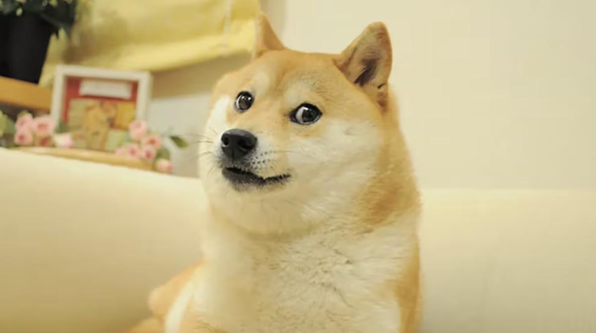 随着 Grayscale Dogecoin ETF 的推出，狗狗币在华尔街的崛起势头仍在继续。