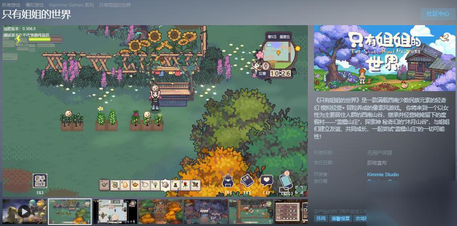 像素游戏 只有姐姐的世界 Steam页面上线 发售日待定