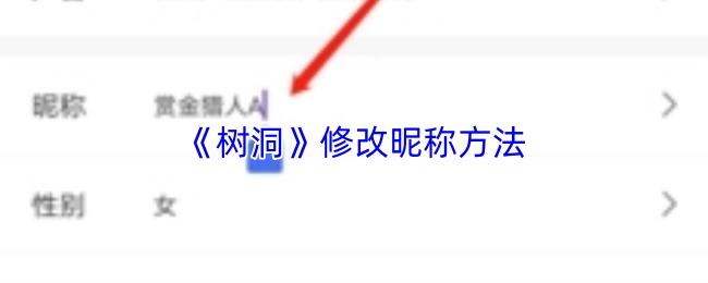树洞 修改昵称方法