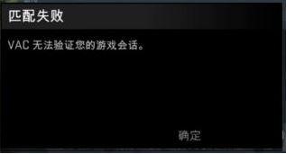 vac无法验证你的游戏会话怎么解决 (CS2)vac无法验证你的游戏会话解决方法