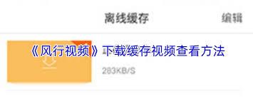 风行视频下载的视频存储位置在哪
