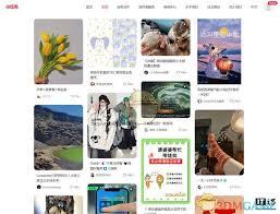 小红书网页版入口链接在哪