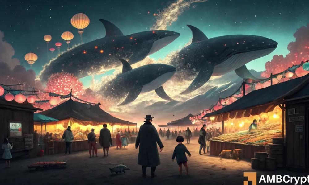 PIPPIN 的价格今天为何上涨 未平仓合约量激增 16.8%，巨鲸买盘等因素共同作用。