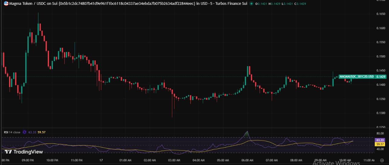 Magma Finance今天为何上涨 它会达到1美元吗 价格预测