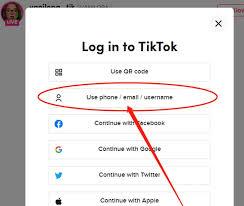 如何直接登录TikTok网页版