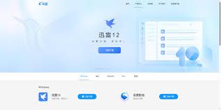 迅雷web版官方入口在哪