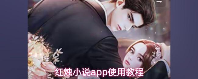 红烛小说app使用教程