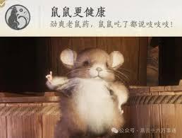 燕云十六声鼠鼠更健康成就如何完成