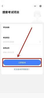 五岳阅卷如何查分