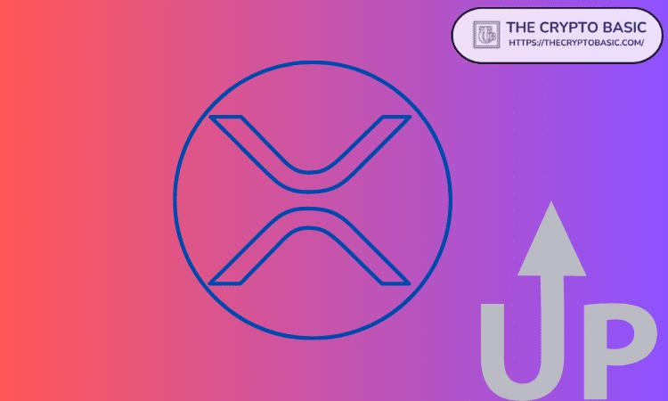 “你根本不知道XRP的未来走向”——分析师指出1W RSI信号“强劲”。