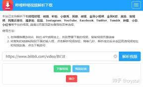 B站视频官方网站是什么