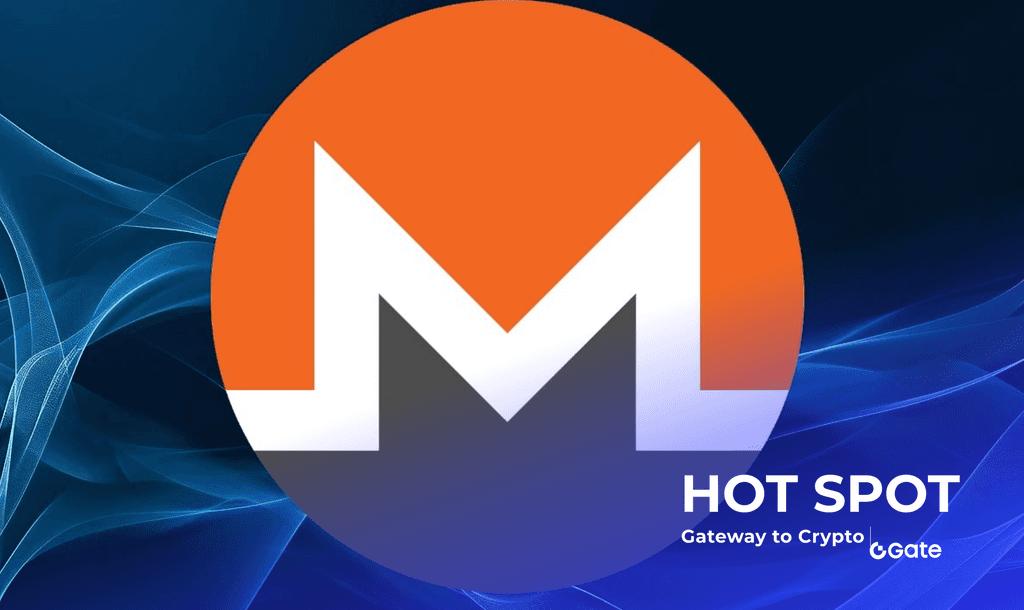门罗币（XMR）价格突破历史新高，隐私币赛道为何集体爆发