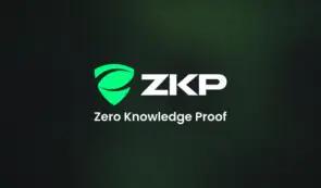 早期采用者曾将 100 美元变成数百万美元——零知识证明 (ZKP) 能否在 2026 年重现历史