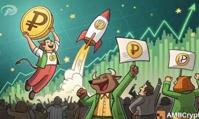 分析 PIPPIN 27% 的涨幅：0.5 美元的目标价是否指日可待