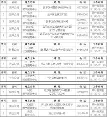 北京燃气如何报数