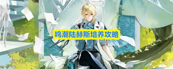 鸣潮陆赫斯培养攻略